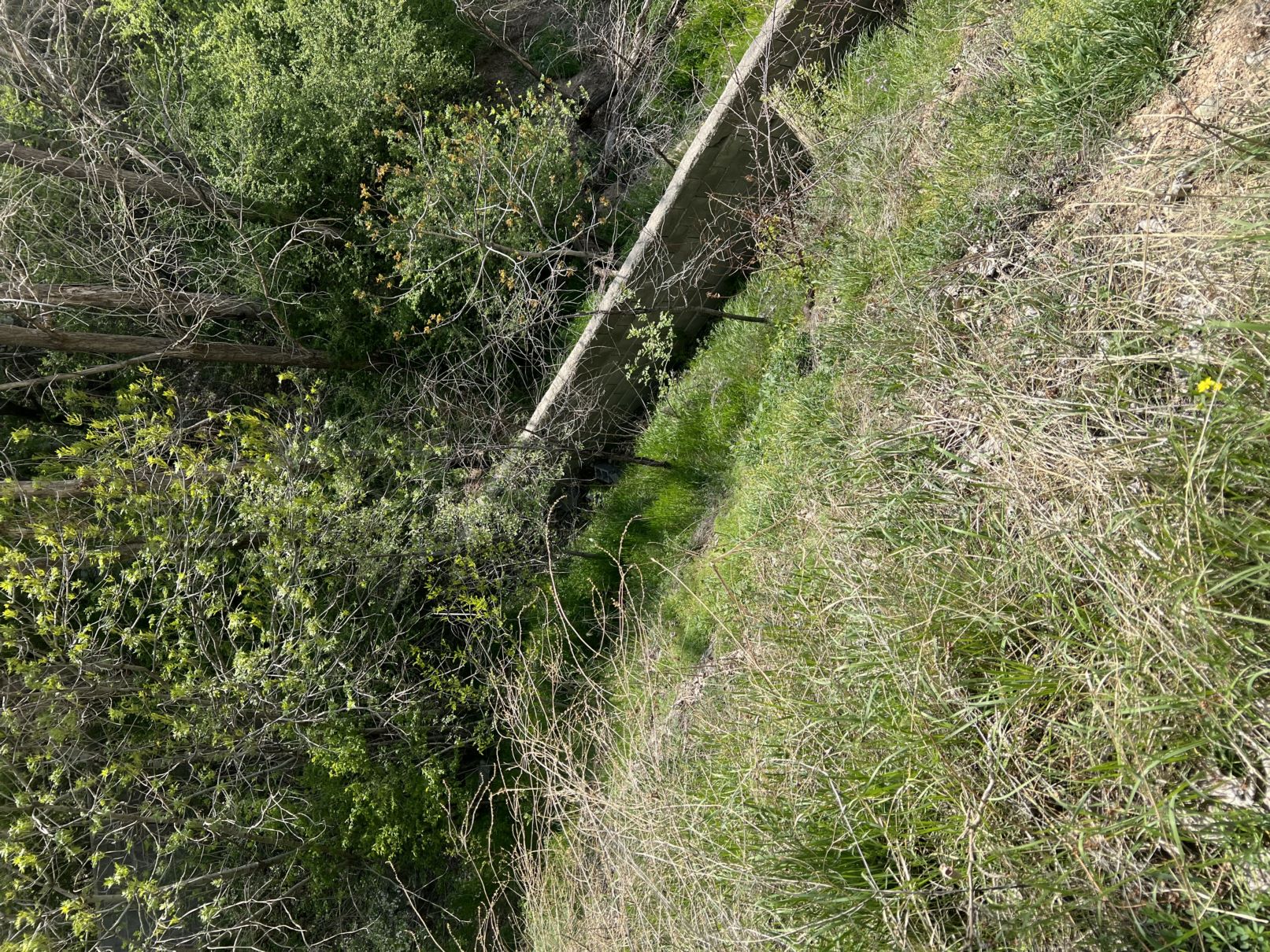 فروش زمین در فشم تهران
